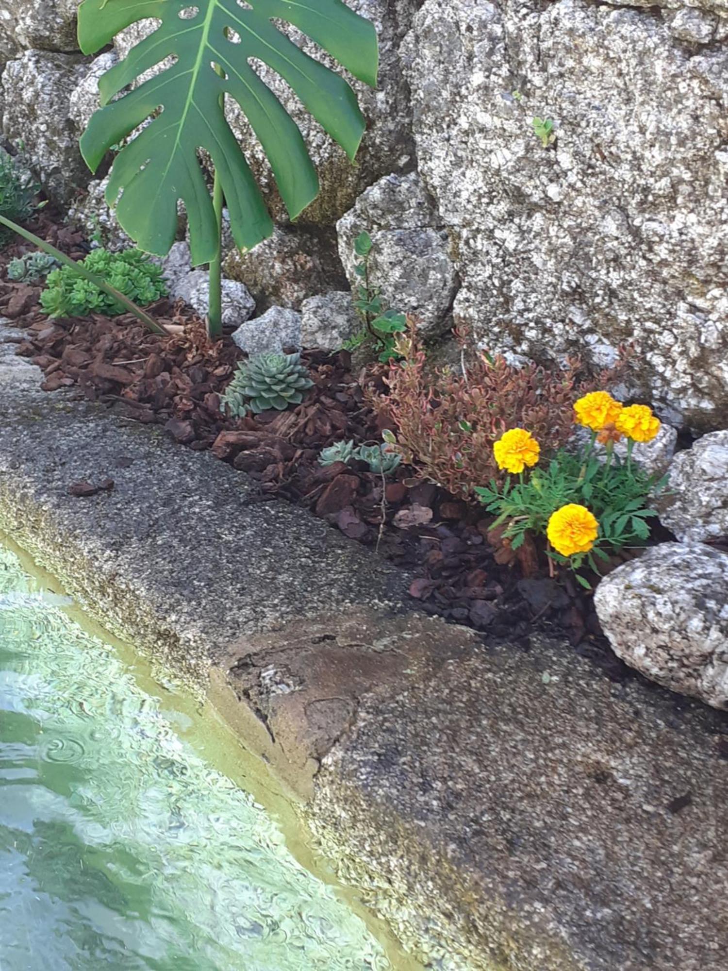 Villa Dos Santos - Geres Country House エクステリア 写真